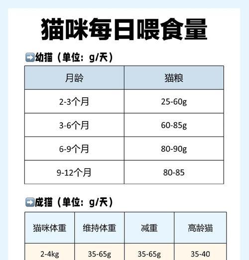 小猫需要多久喝奶？（了解小猫喝奶的时间和频率）
