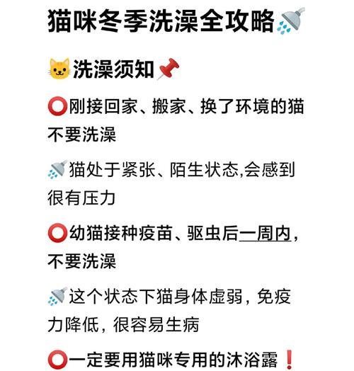 猫咪体外驱虫后多久可以洗澡（合理安排洗澡时间，关注猫咪健康）