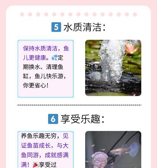 如何合理安排新孔雀鱼的喂食时间（掌握适宜的喂食频率和时间，让新孔雀鱼健康成长）