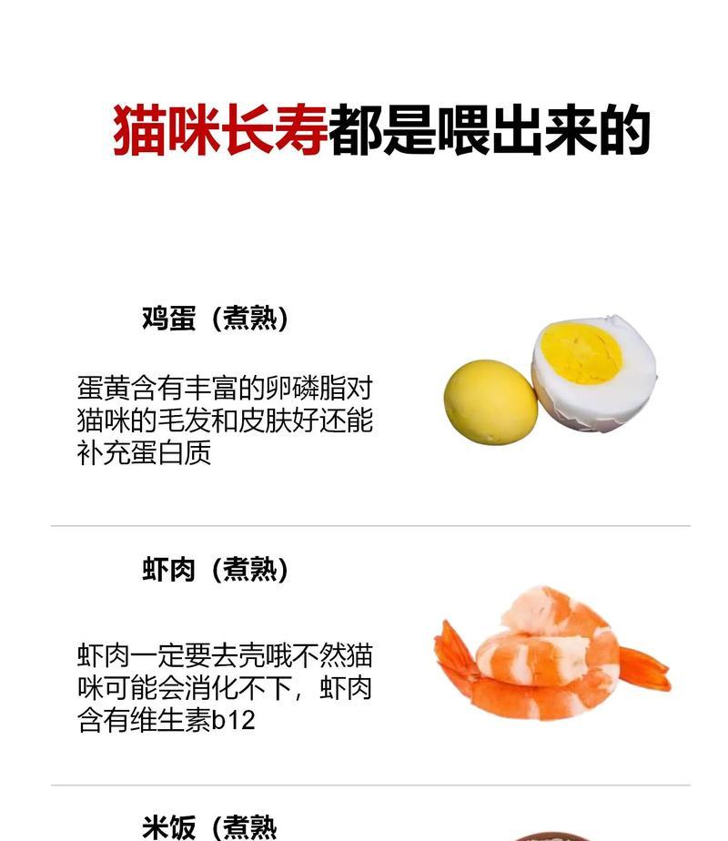 让猫咪越吃越美丽的食物（发现令猫咪美丽的秘密食物）