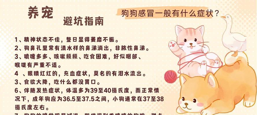 狗狗感冒需要多少花费？（了解治疗狗狗感冒的成本及注意事项）