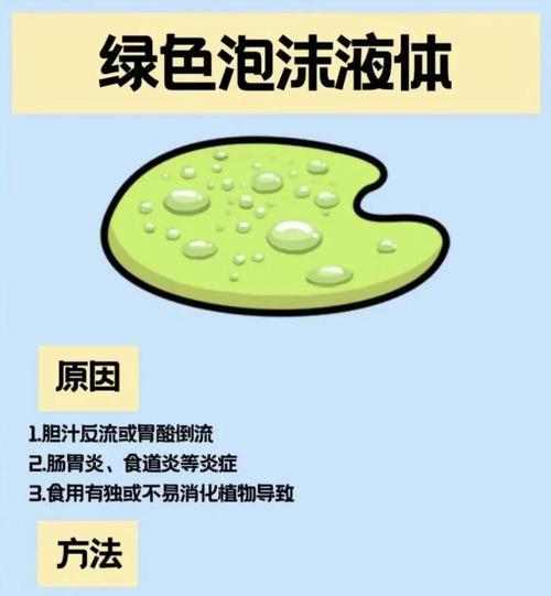 揭秘猫咪不吃东西的原因与呕吐现象（探寻猫咪食欲不振与呕吐背后的秘密，解决饮食困扰）