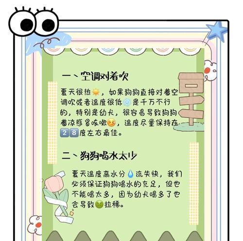 夏天狗狗的健康注意事项（为你的爱犬度过一个舒适的夏天）