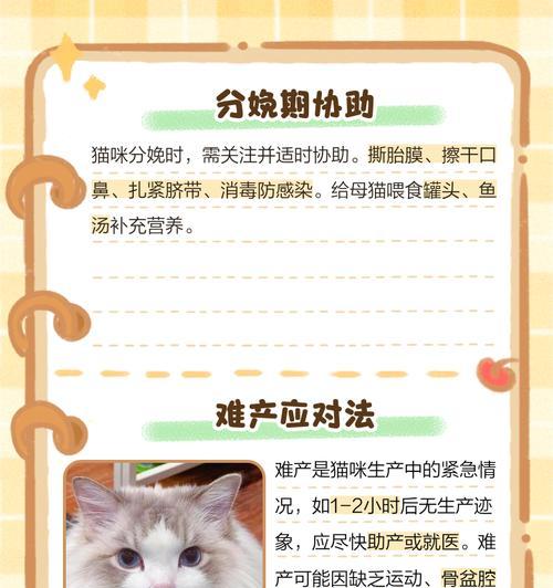 猫的怀孕期和分娩时间是多久？（了解猫的怀孕周期和准备迎接新生命）