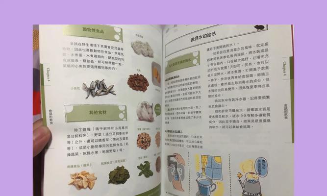 仓鼠的饮食需求及饲养注意事项（以仓鼠吃什么为切入点，让你的小宠物健康成长）