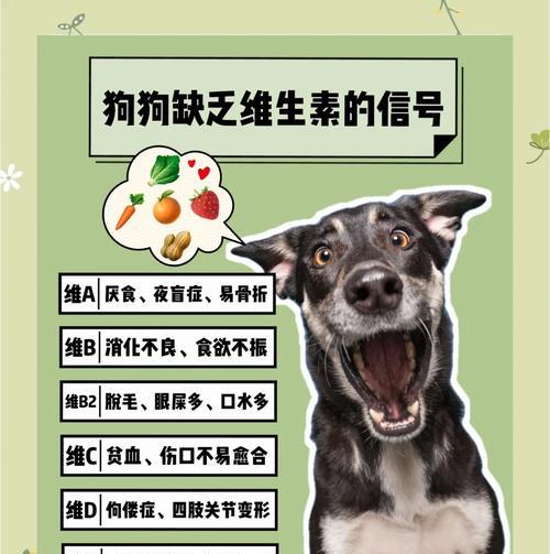 狗消化问题的症状及相关知识（探究狗消化问题的常见症状以及引发原因）