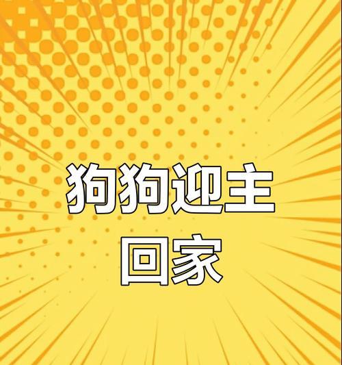 小狗到家需要多久？（了解小狗适应新家的时间和过程）