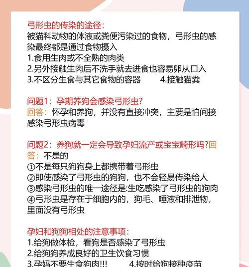 狗的怀孕症状及相关注意事项（了解狗的怀孕症状，为您的宠物提供更好的关怀）