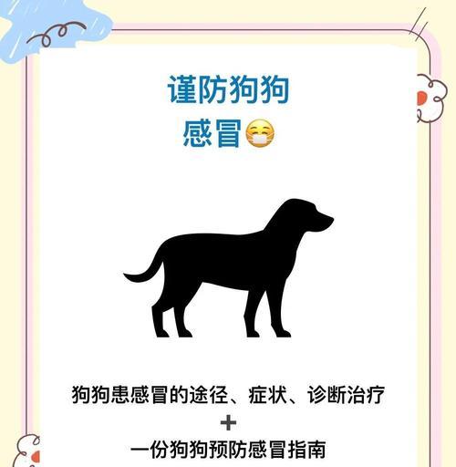 狗狗感冒的常见症状（了解狗狗感冒的症状及其处理方法）