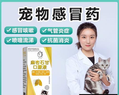 狗狗感冒流鼻涕应该如何处理？（有效治疗小狗感冒的措施和药物）