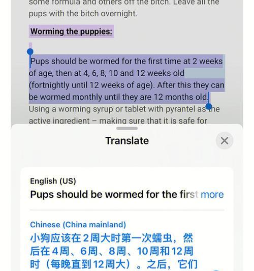 秋田犬驱虫频率及注意事项（了解秋田犬驱虫周期，宠物健康更有保障）