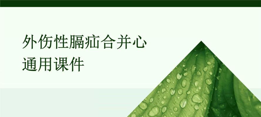 犬创伤性膈疝（揭开犬创伤性膈疝的面纱，了解潜在并发症与预防方法）