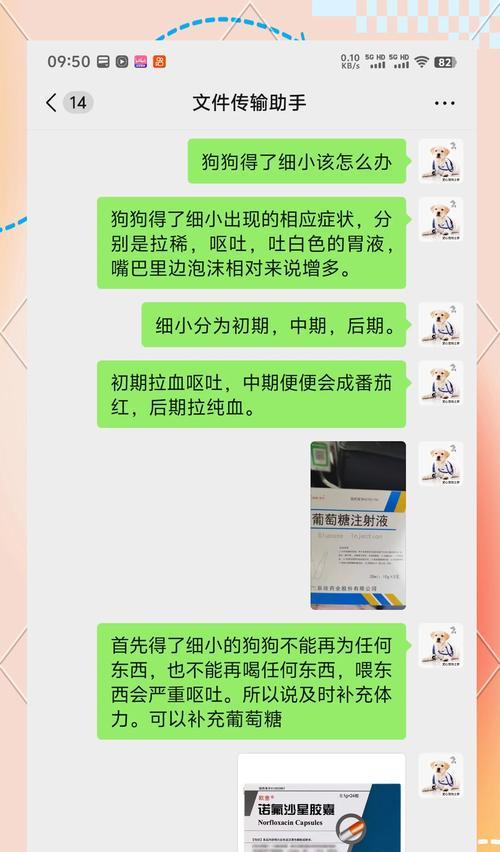 狗狗细小后排毒需要多久？（探索狗狗细小后身体的自我修复能力）